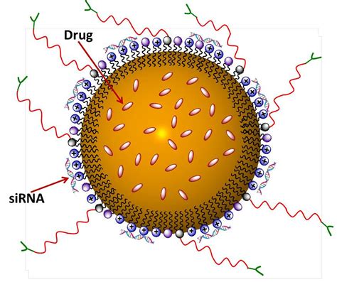 Nitrocellulose - The Ultimate Biomaterial for Membranes and Drug Delivery Systems!